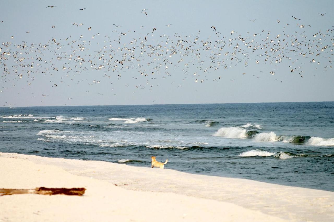 Beach'N'Sea Wohnung 10 Grömitz Eksteriør bilde